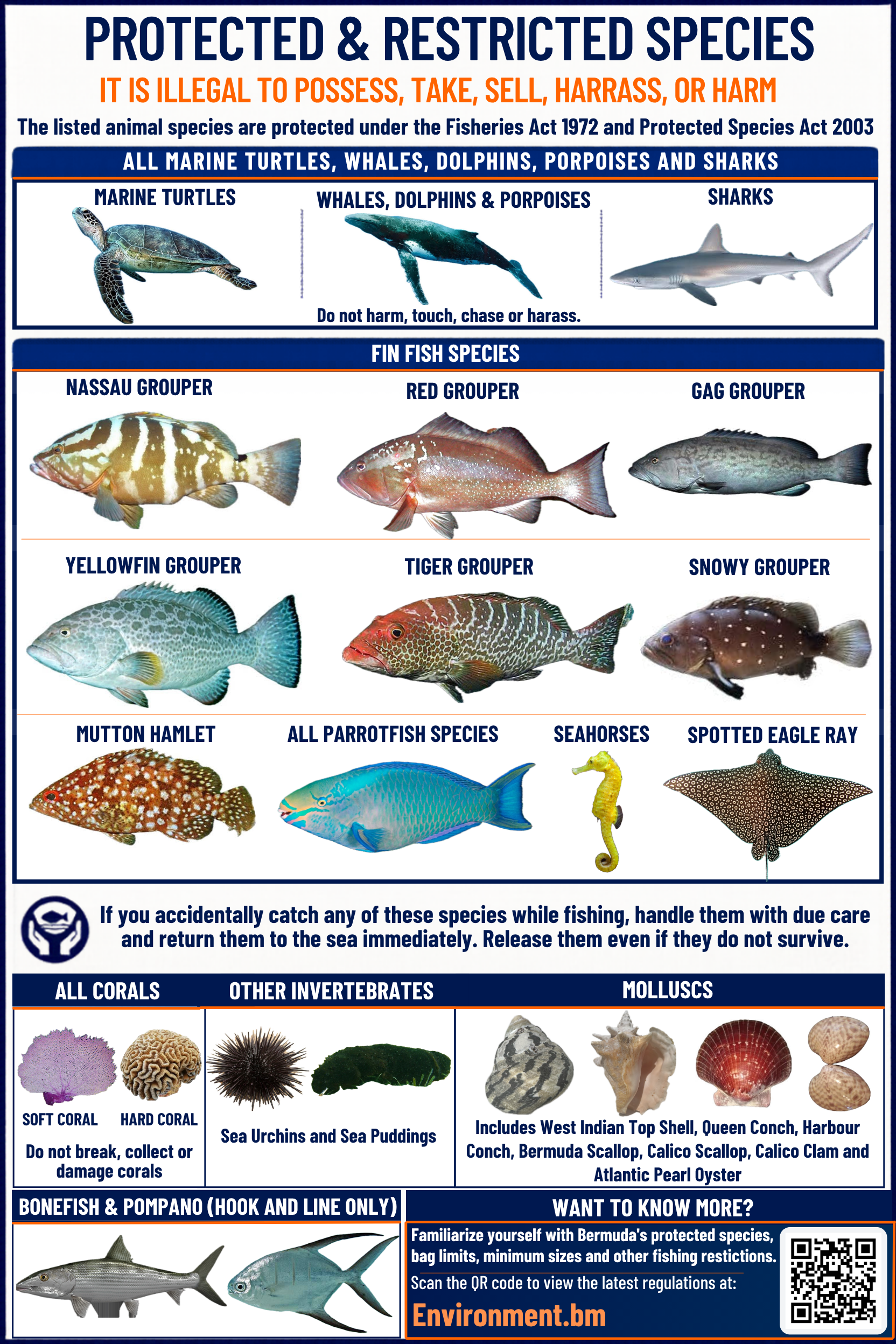 Protected Species 2