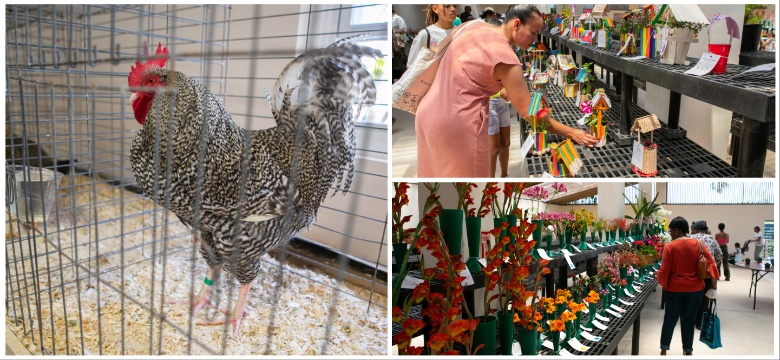 81st Annual Agricultural Exhibition Dates Announced