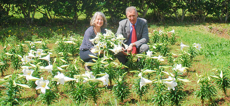 Government House Release: Easter Lilies