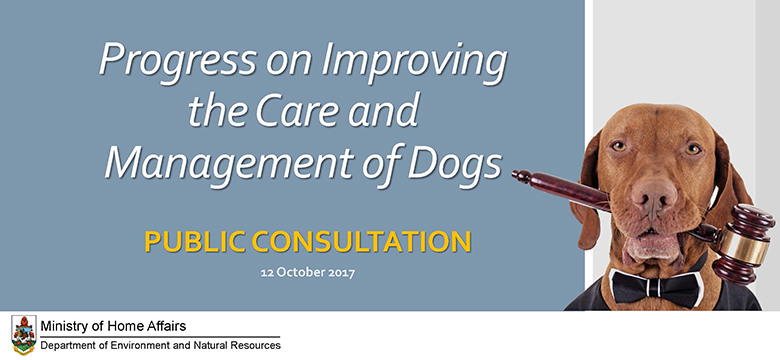 Progress on Improving the Care and Management of Dogs