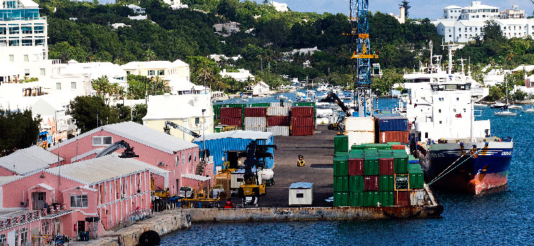 Obligation on importers to apply to Customs to sell or donate restricted goods imported duty free