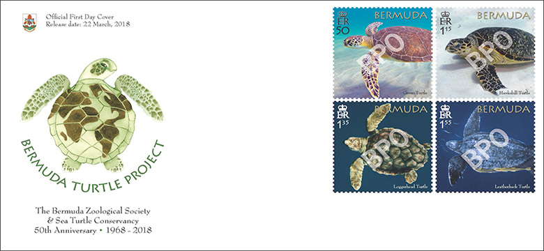 Bermuda Turtle Project