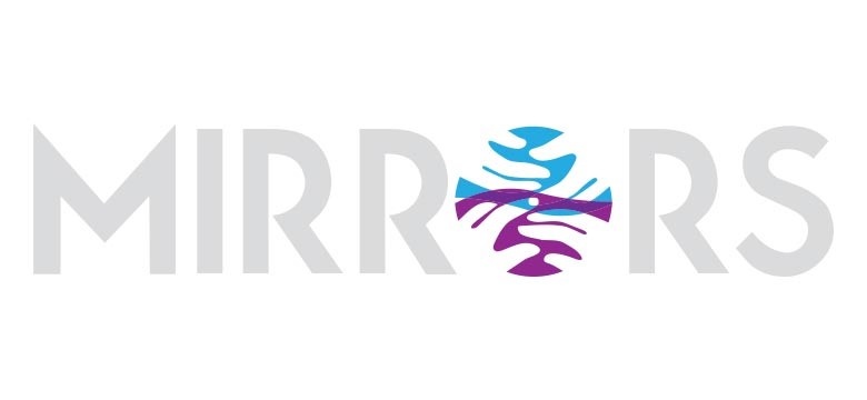 Mirrors Students Complete Community Programme