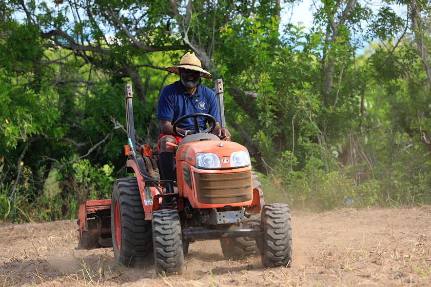Redemption Farm Commences With Eight Participants