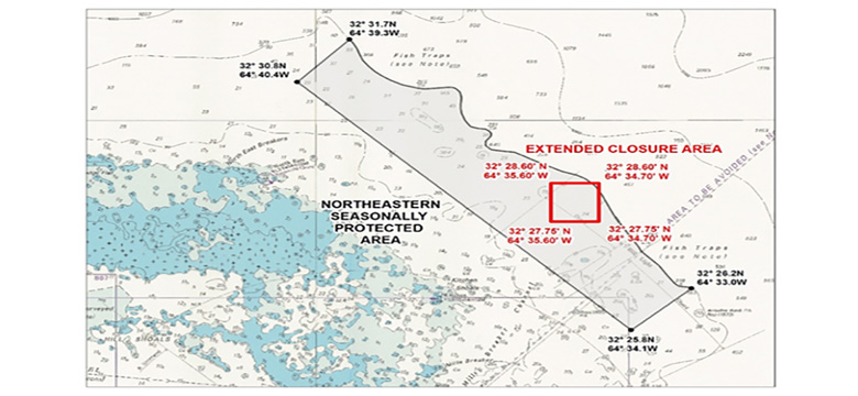 Red Hind Ground Opening