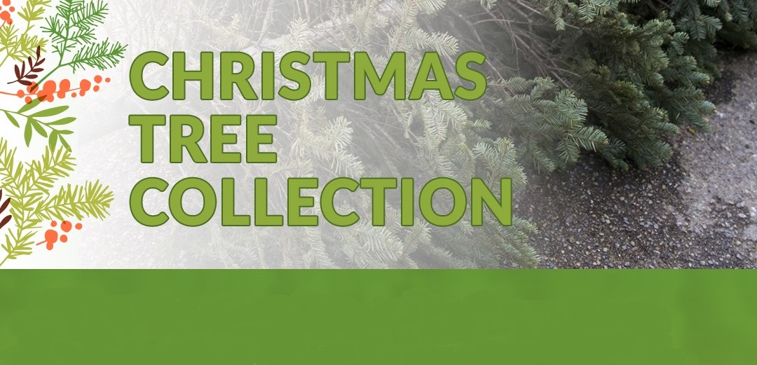 Christmas Tree Collection Advisory