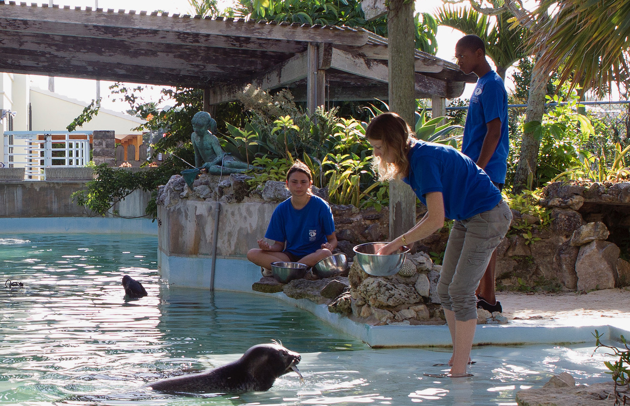 BAMZ To Close Public Visits