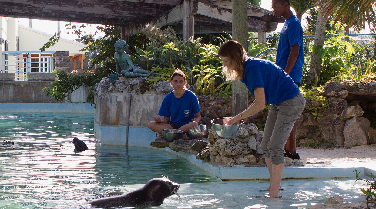 BAMZ Reopening on Monday