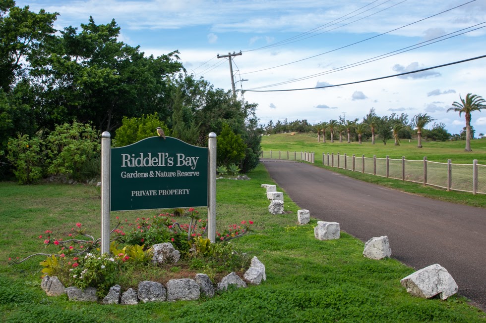 Minister Tours Riddell's Bay Conservation Area