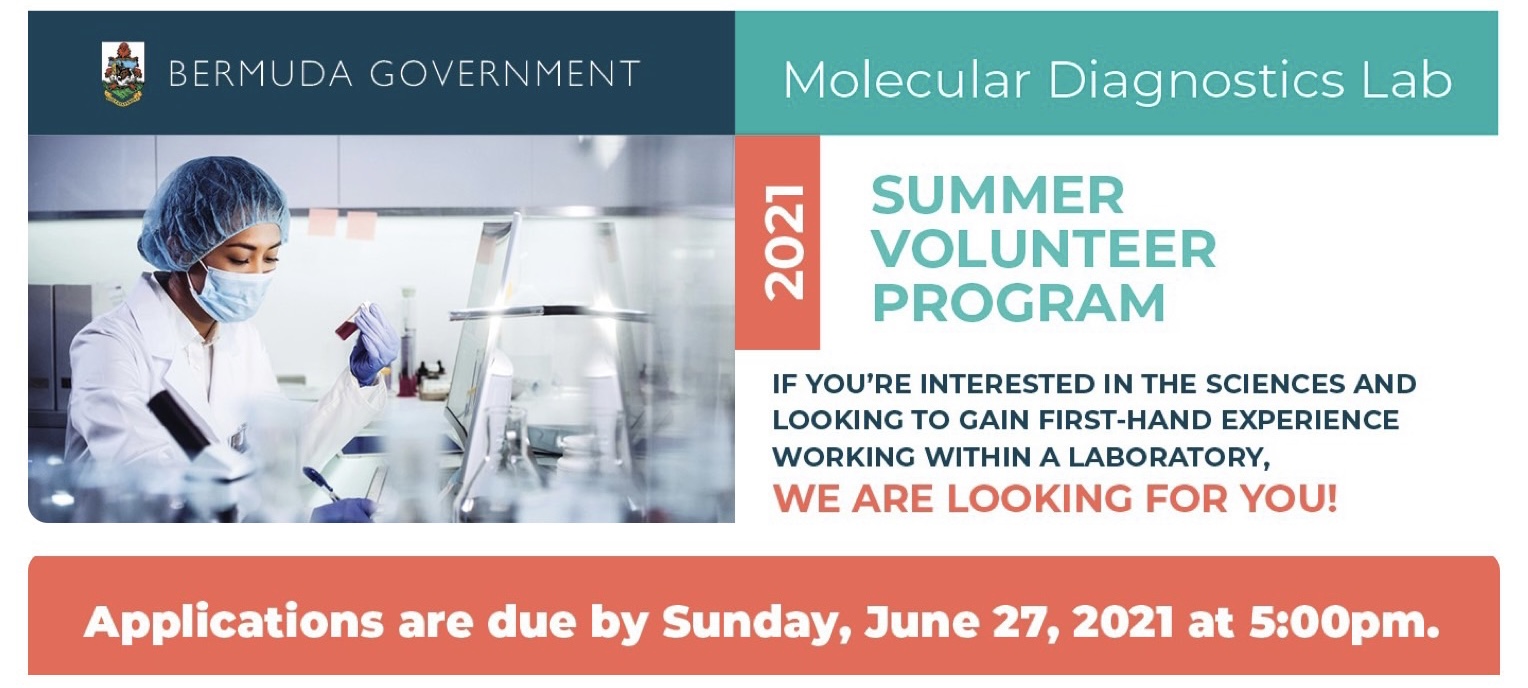 Molecular Diagnostics Lab: Summer Volunteer Program 2021