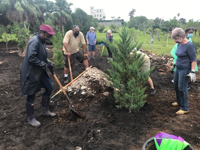 The Queen's Green Canopy Tree Planting