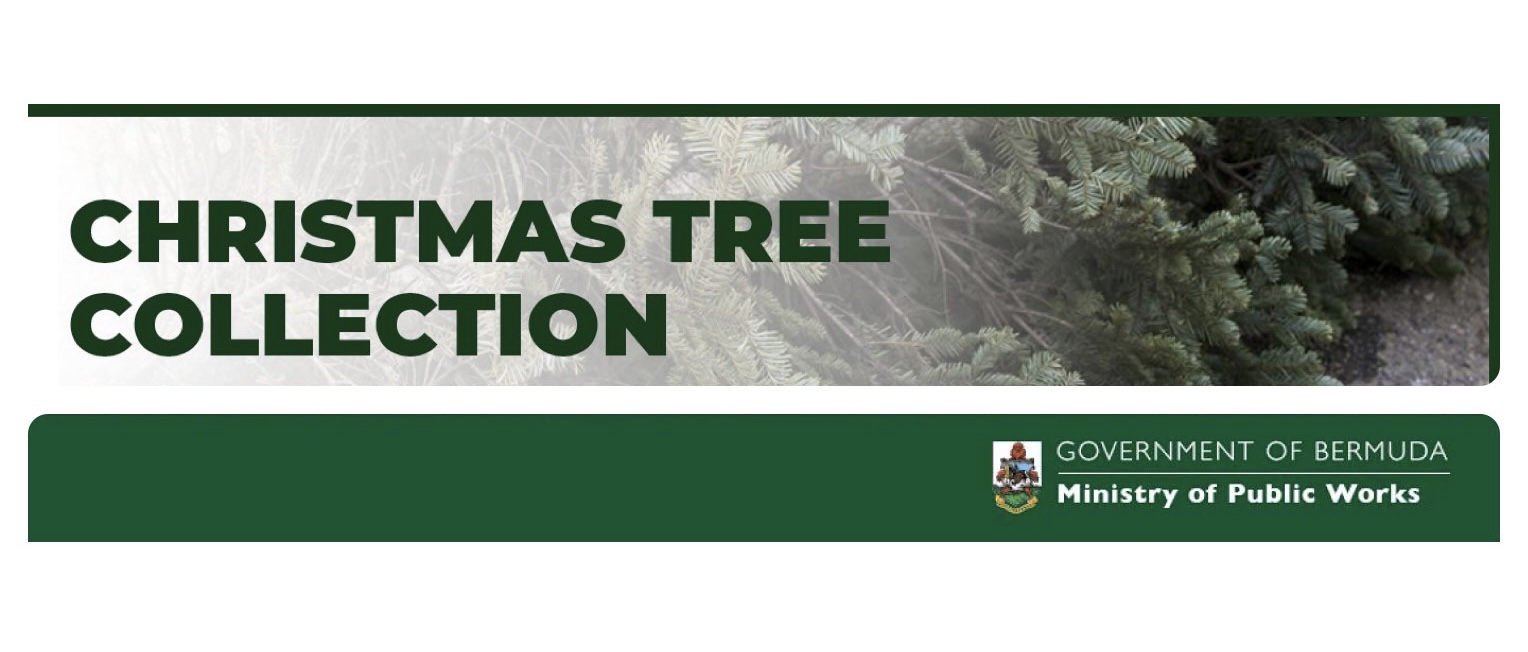 Ministry of Public Works: Domestic Waste Update and Christmas Tree Collection