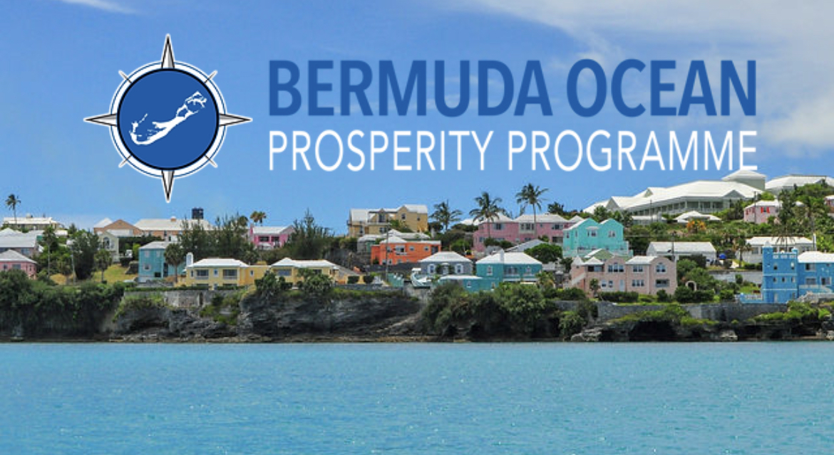 Bermuda Gains Access to High Tech AUV