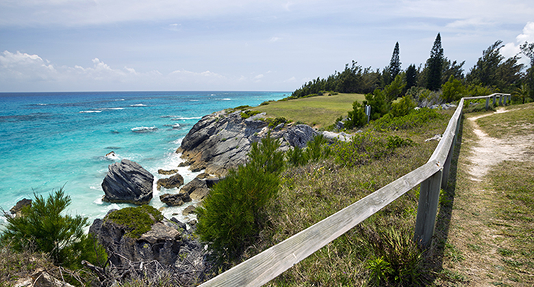 SUBMISSION DEADLINE EXTENDED: Commercial Activity Within Parklands 2022