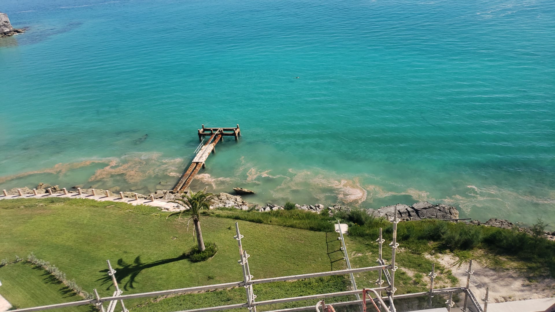 Public Advisory – Coral Spawning Off Bermuda’s Coastline