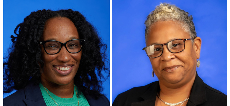 Government announces Director appointments