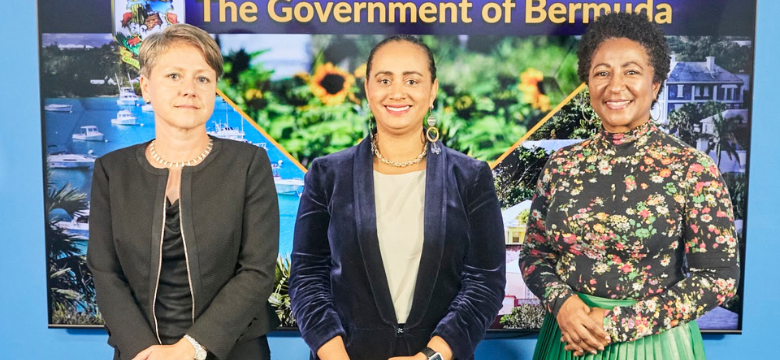 Gender Affairs Council