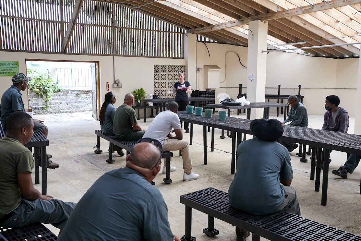 Applications Sought for Upcoming Skills Development Programme Intake