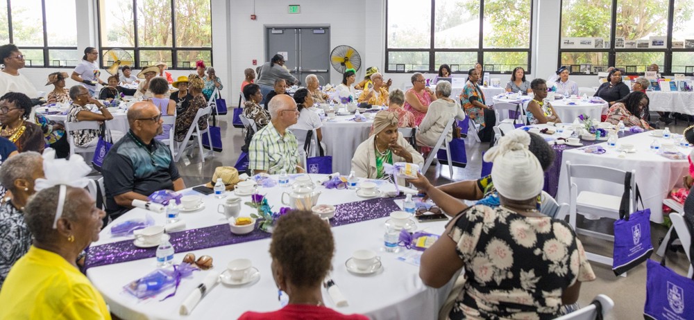 Socialising with Seniors: Ageing and Disability Services Hosted an Elder Abuse Awareness Seniors Tea