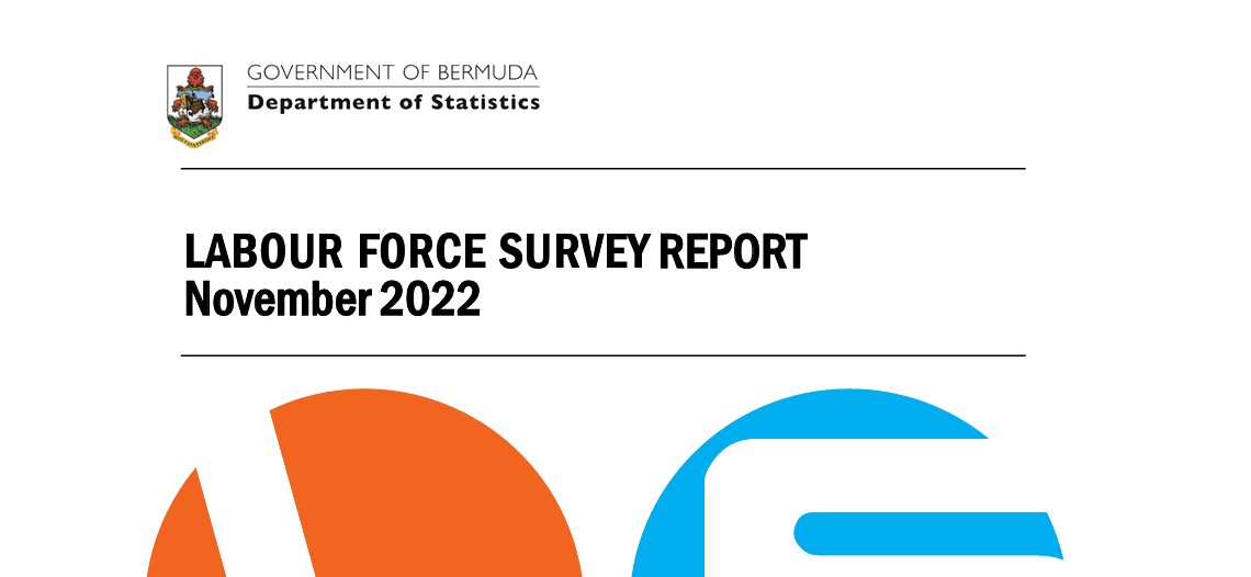 November 2022 Labour Force Survey Report