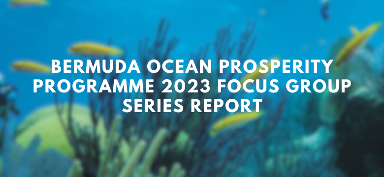 Focus Groups Held to Discuss Updates and Share Priorities for the Draft Blue Prosperity Plan