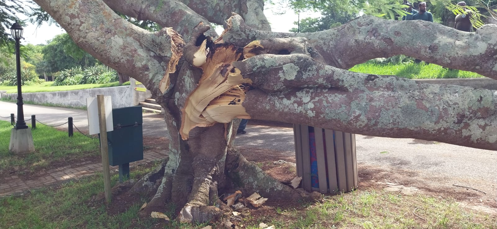 Road Obstruction Alert in Botanical Gardens