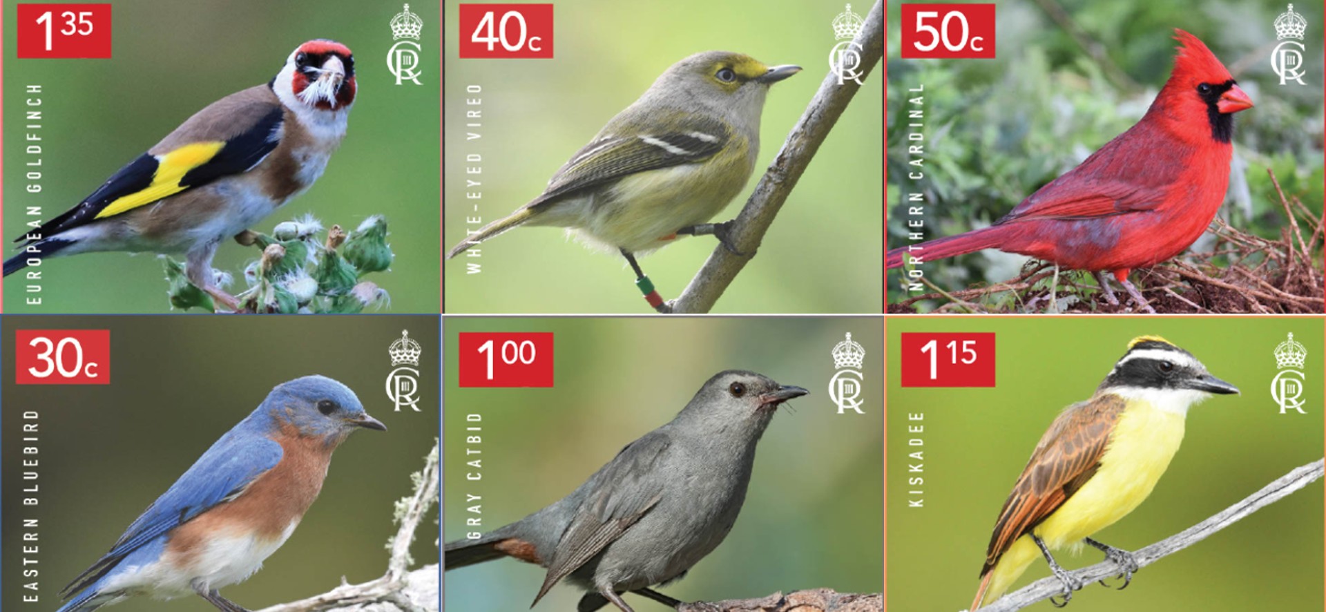 Backyard Birds Commemorative Stamp