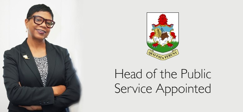Head of the Public Service Appointed