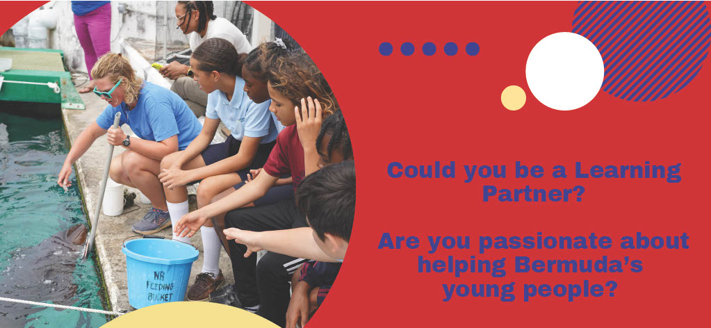 Ministry Extends Invitation to Join Public School Redesign Teams