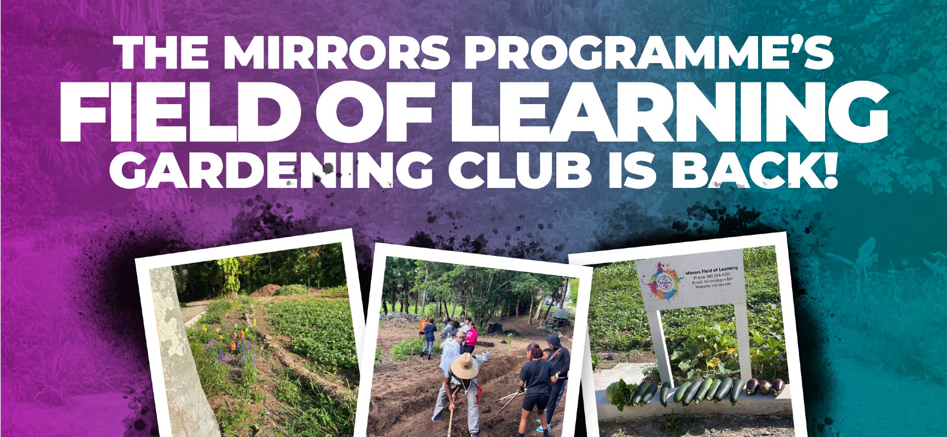 The Mirrors Programme’s Field of Learning Gardening Club is Back with an Opportunity for Growth and Community Engagement