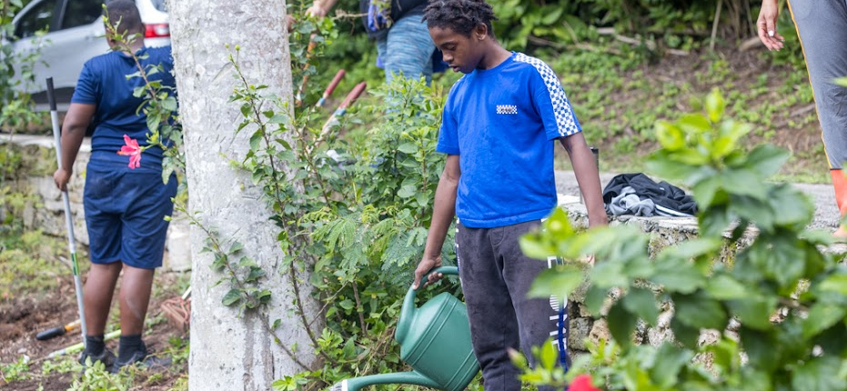 Success Academy Joins The Mirrors Programme's Field of Learning for Enriching Hands-On Gardening Experience