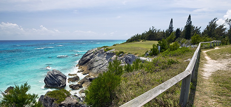 Request for Proposals: Commercial Activity within Parklands 2026