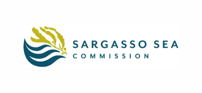 Cabinet Strengthens Ocean Protection by Appointing New Scientific Expert Sargasso Sea Commissioners