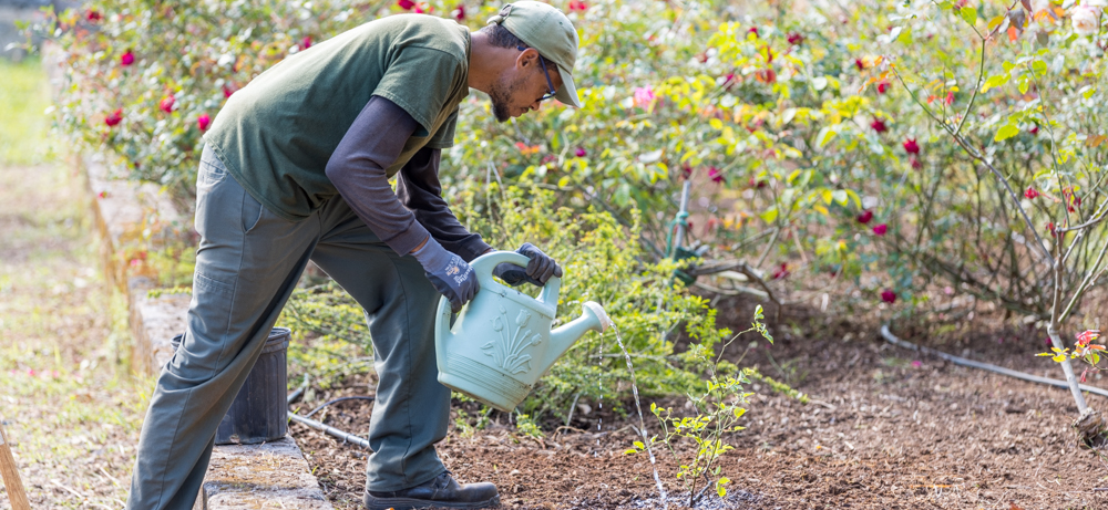 Bermuda Gears Up for the 83rd Annual Ag Show: A Celebration of Heritage, Hard Work, and Local Talent
