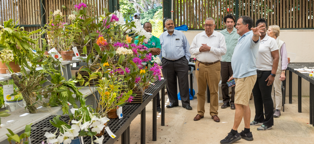 Final Preparations Complete at Botanical Gardens for Annual Agricultural Exhibition