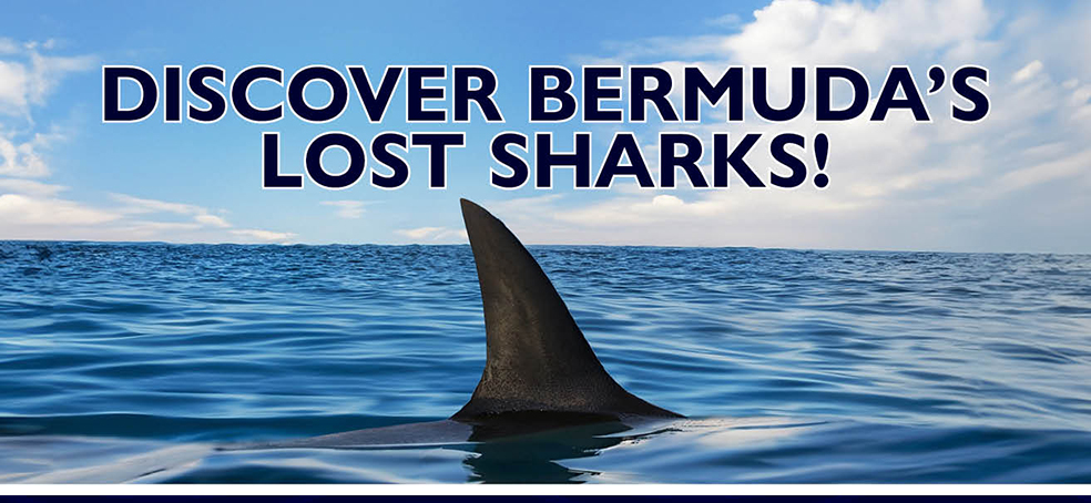 Ministry of Home Affairs Sponsors Free Screening of Shark Country at Bermuda Underwater Exploration Institute