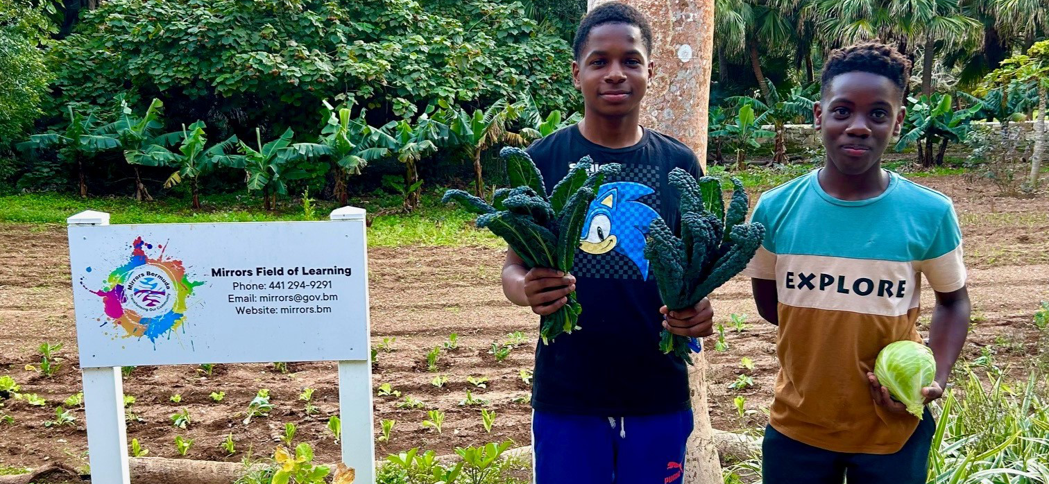 Registration is Now Open for Term 1 at The Mirrors Programme’s Field of Learning