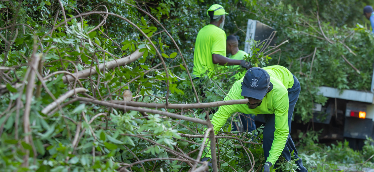 Public Works Crews Trim Trees and Clear Vegetation Island-wide to Enhance Road Safety