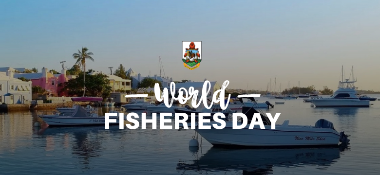 Bermuda Celebrates World Fisheries Day: A Commitment to Sustainable Marine Resources