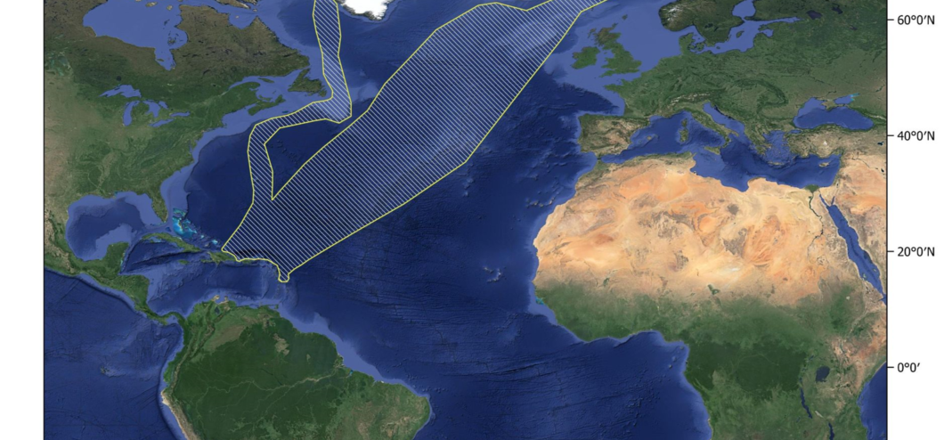 Sargasso Sea Commission Supports the Designation of A Humpback Whale Migratory Corridor Important Marine Mammal Area