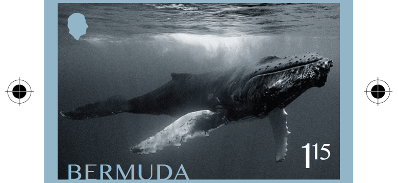 Bermuda Post Office Releases Commemorative 'Whales in Bermuda' Stamp Collection