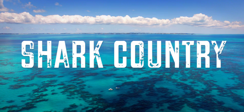 Department of Environment and Natural Resources Highlights Bermuda's Marine Challenges with "Shark Country" on WaterBear 5th September 2025