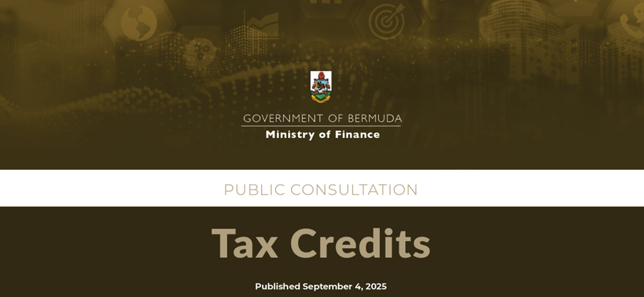 Consultation on Tax Credits