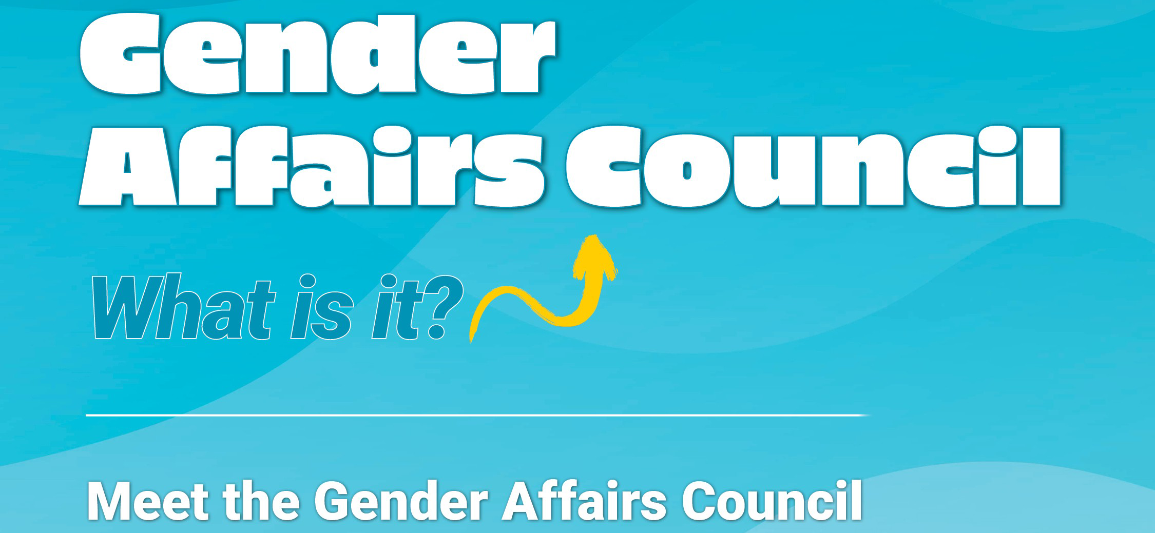 Postponement of Tonight’s Gender Affairs Council Event