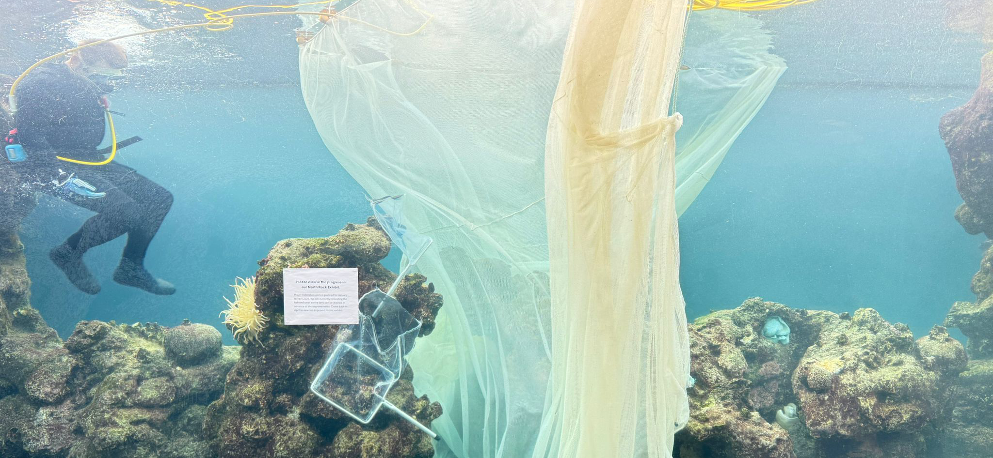 Essential Exhibit Upgrades Underway at the Bermuda Aquarium, Museum & Zoo