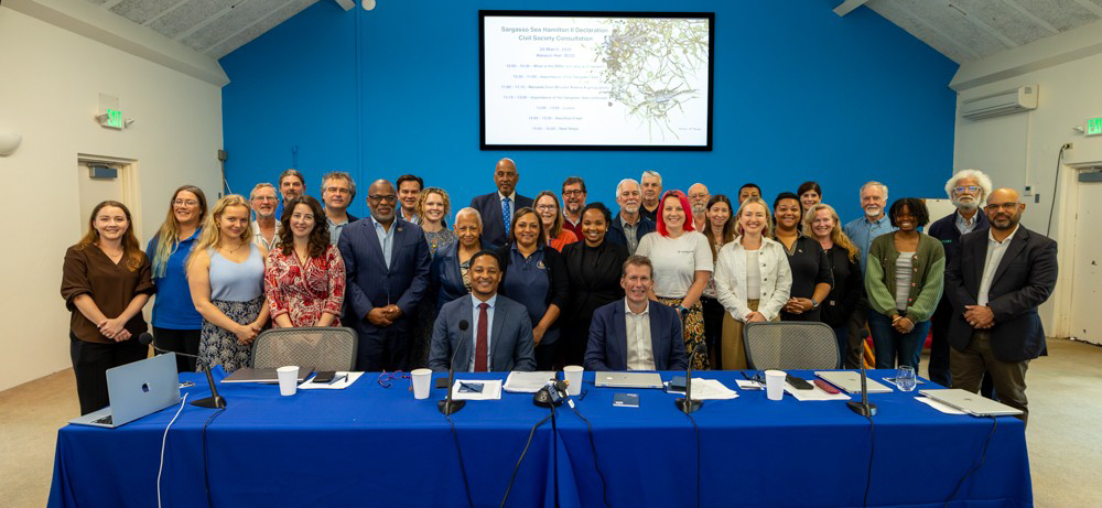 HAMILTON II DECLARATION – CIVIL SOCIETY CONSULTATION