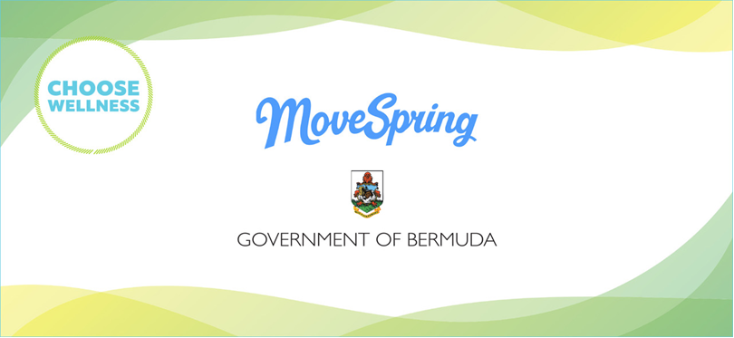 Ministerial Statement: Update on Government Reform - Meeting the Wellness Objective