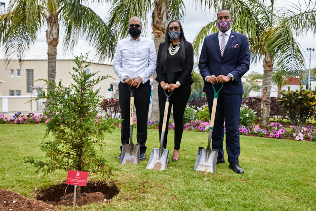 Tree Planted in Honour of  Kenneth Richardson