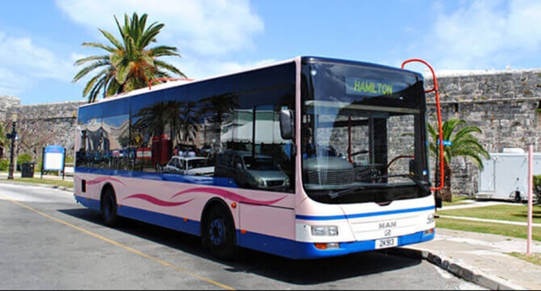 Ministry of Transport: Bus Service Has Resumed