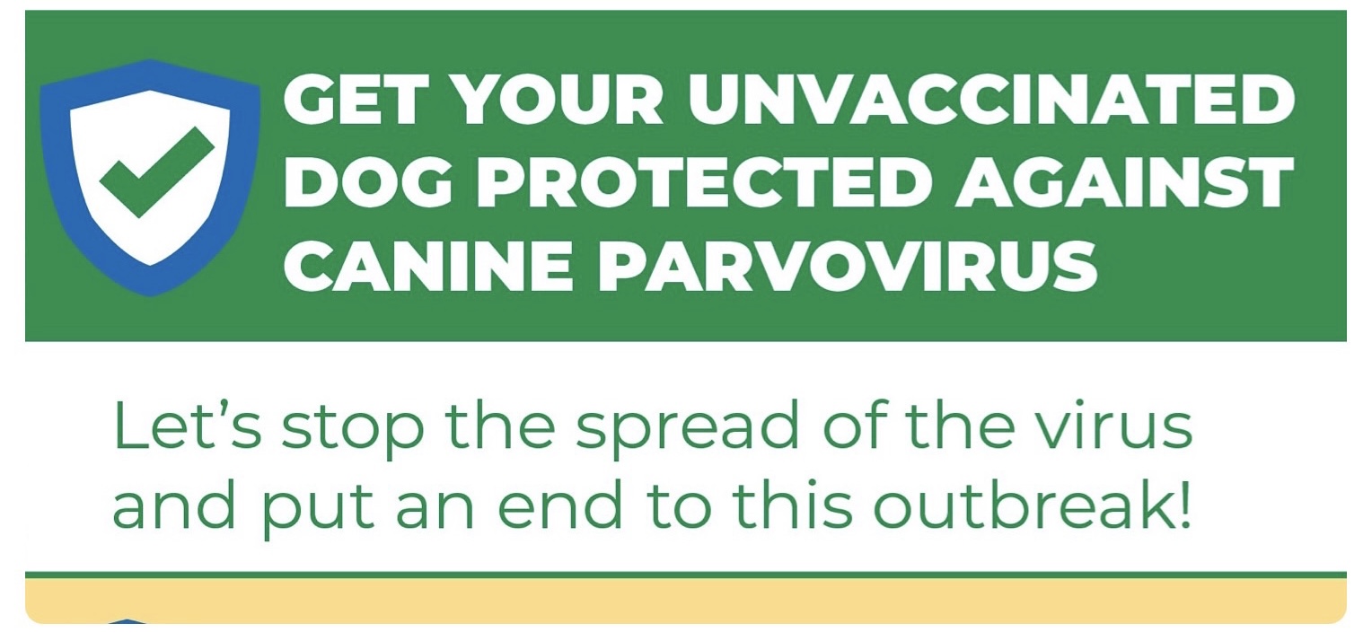Dog Vaccination Drive Against Canine Parvovirus – West End Site